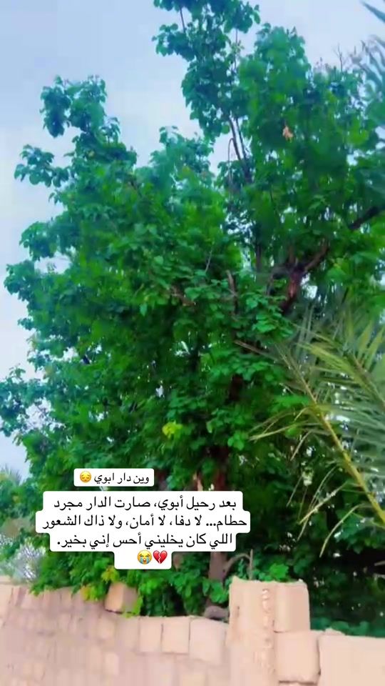 TikTok video thumbnail by al_reem68