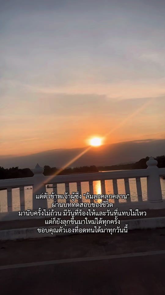 TikTok video thumbnail by ann249465
