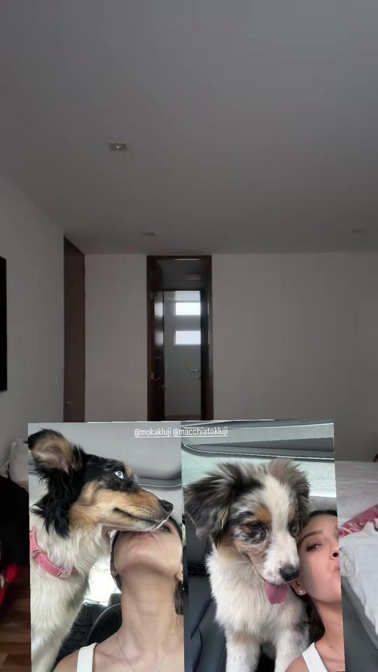TikTok video thumbnail by ruizz2005