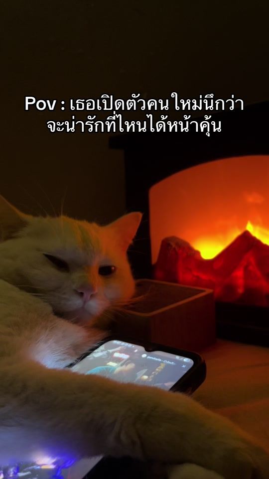 TikTok video thumbnail by meaow_maria