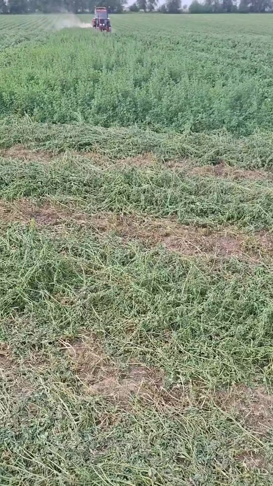 TikTok video thumbnail by quvondiq085