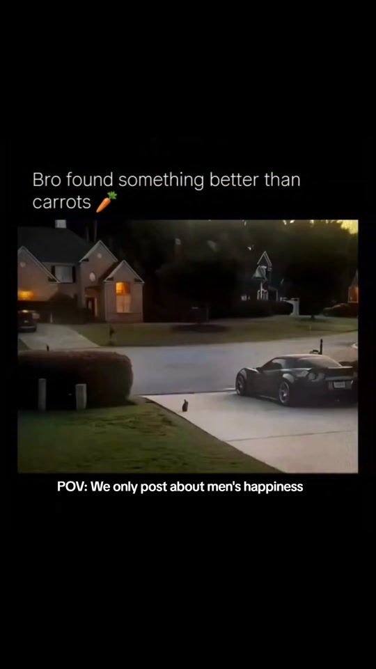TikTok video thumbnail by joke.or.tease