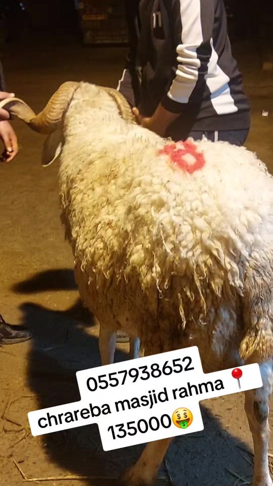 TikTok video thumbnail by imaddin457