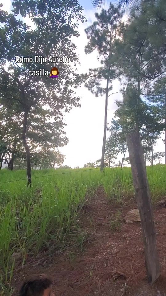 TikTok video thumbnail by carpl5
