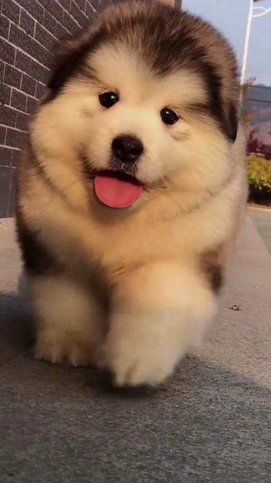 TikTok video thumbnail by jiojio99