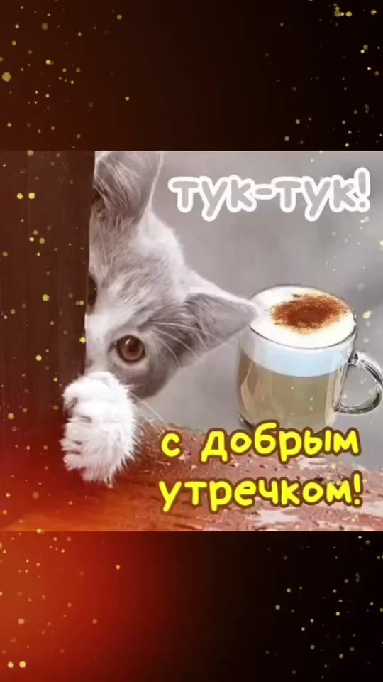 TikTok video thumbnail by vtekhinvadim
