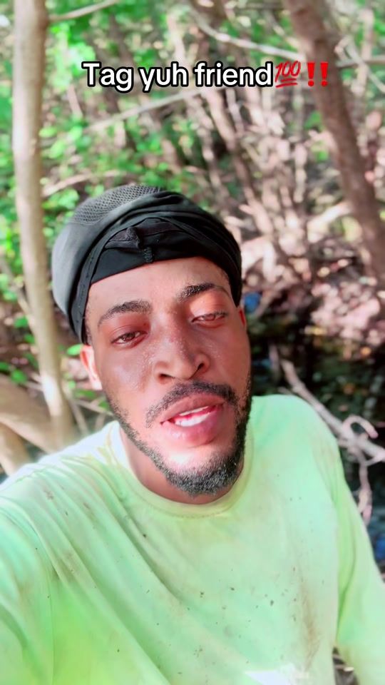 TikTok video thumbnail by lavizh_dan