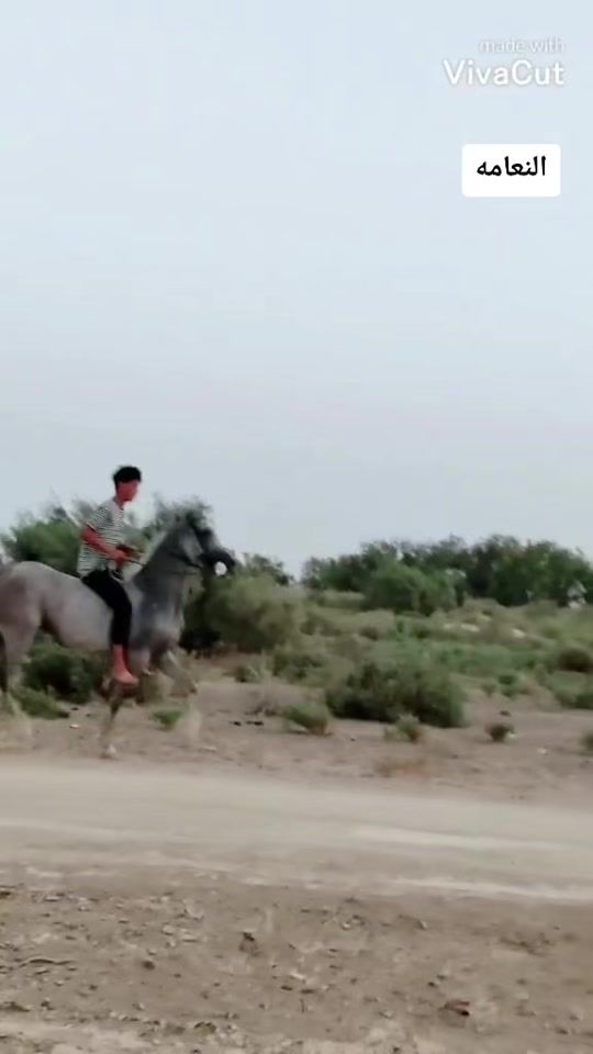 TikTok video thumbnail by za_l1l4