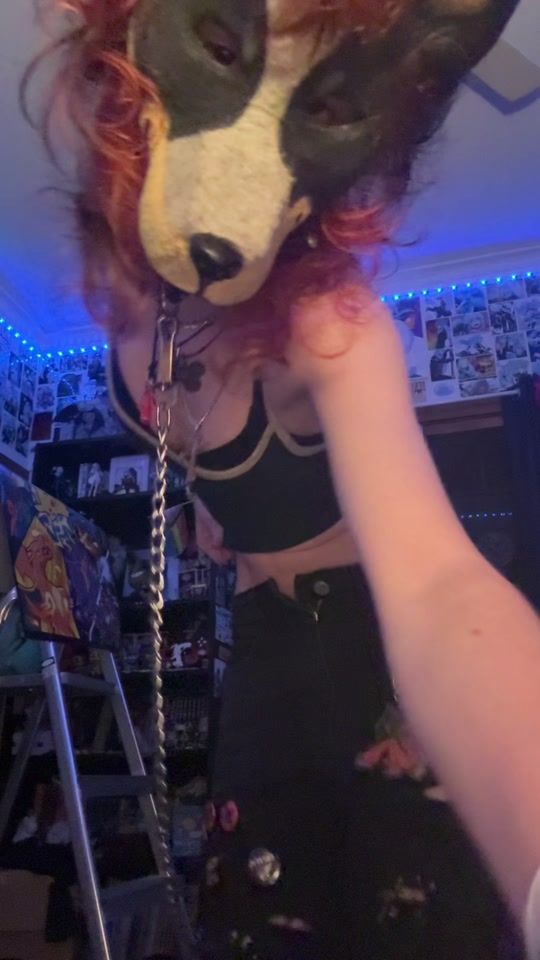 TikTok video thumbnail by .forgetfulgecko