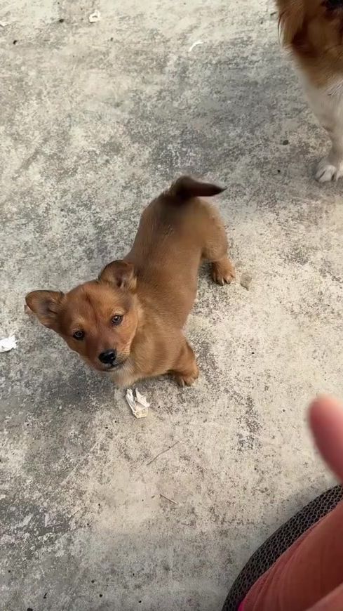TikTok video thumbnail by user493290181255