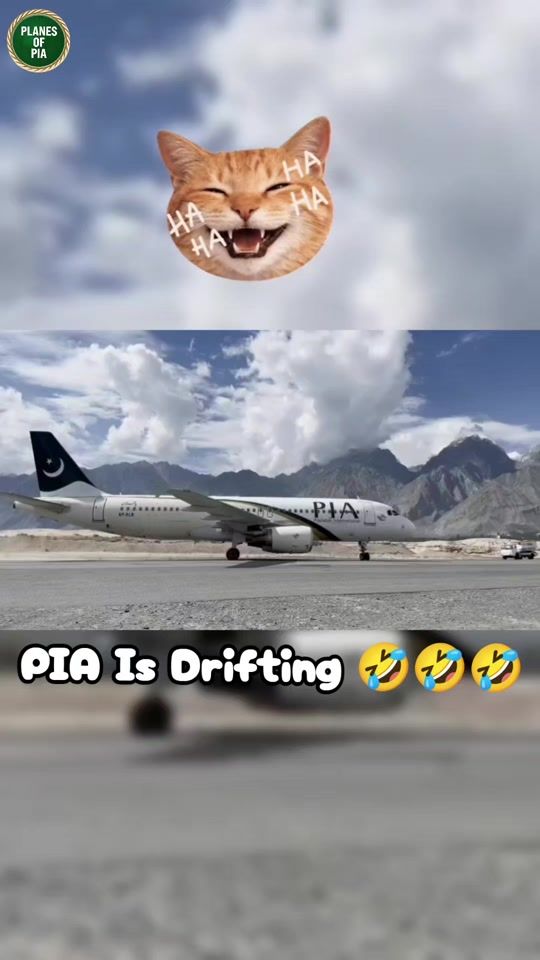 TikTok video thumbnail by planes.of.pia