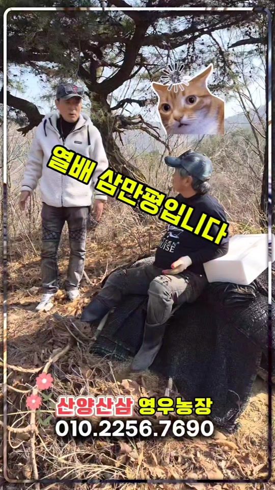 TikTok video thumbnail by .tv8043