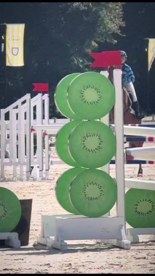 TikTok video thumbnail by amber_equestrian.0
