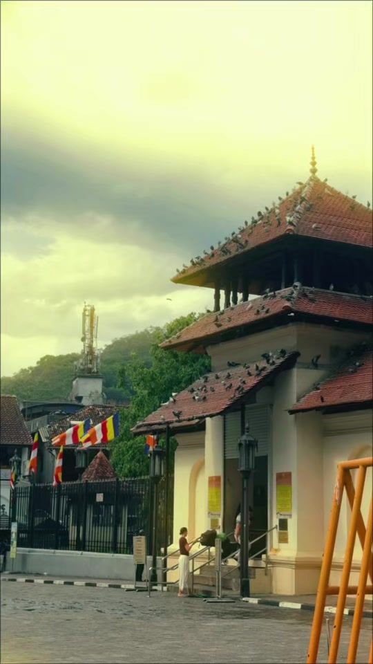 TikTok video thumbnail by supeshala__
