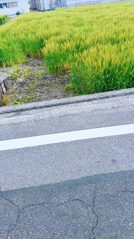 TikTok video thumbnail by ankit123405