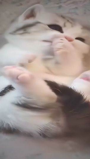 TikTok video thumbnail by skladderbma