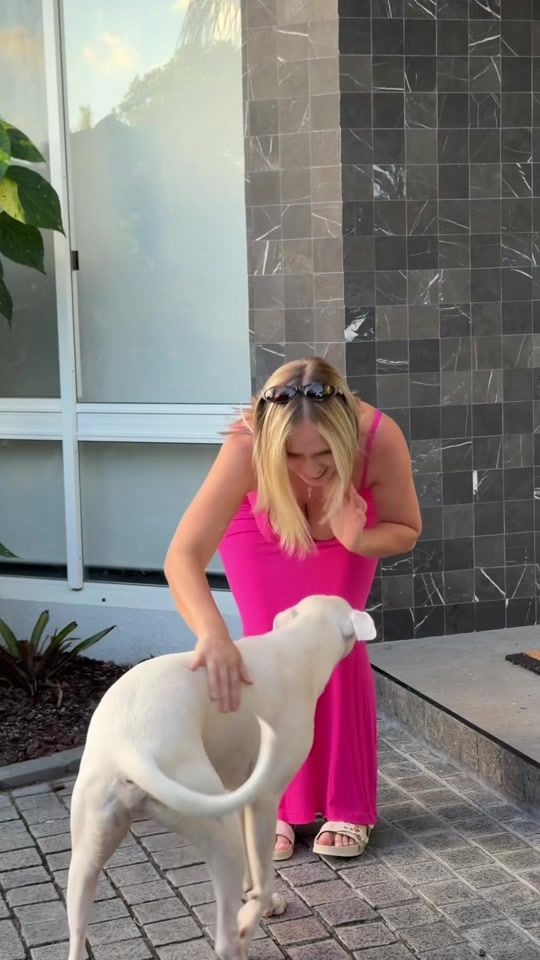 TikTok video thumbnail by wettmelons.bbq