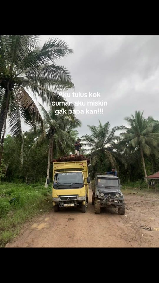 TikTok video thumbnail by iipul_1