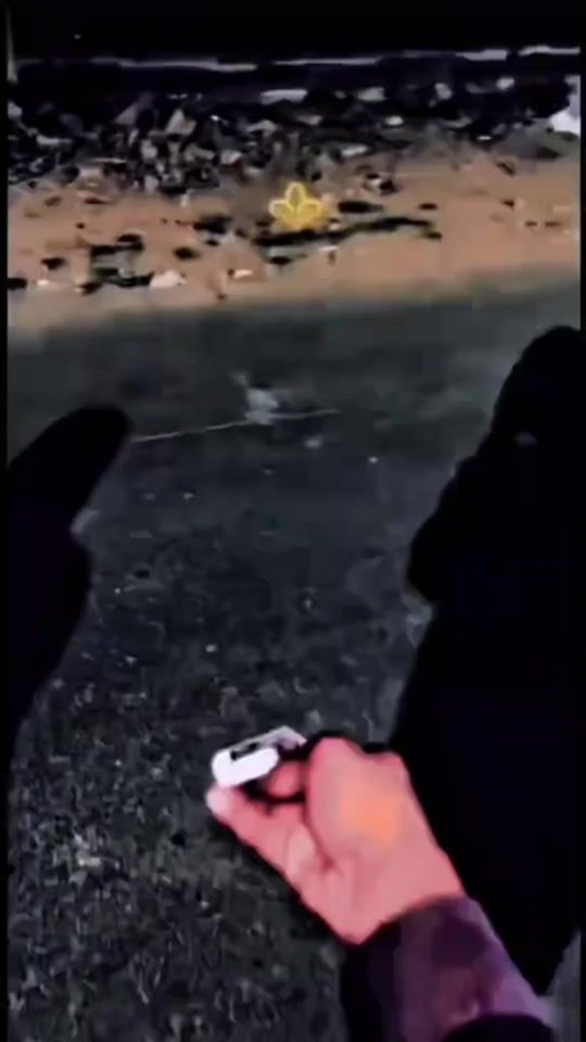 TikTok video thumbnail by seifradman