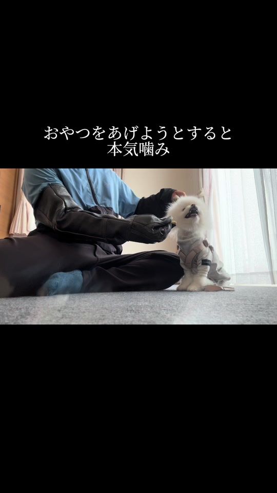 TikTok video thumbnail by yzsrnz