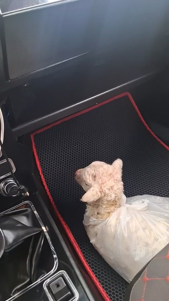 TikTok video thumbnail by agazade_99_lt_265