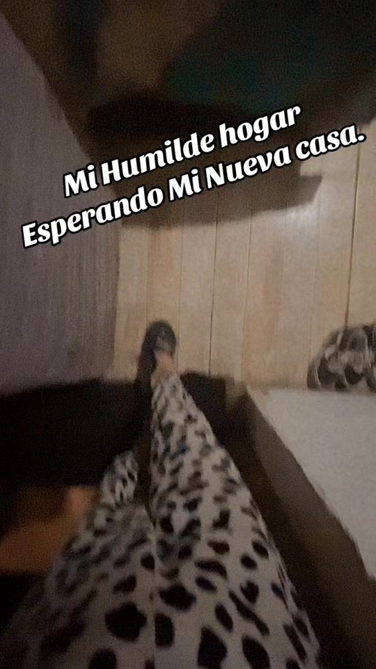TikTok video thumbnail by medeiiros46