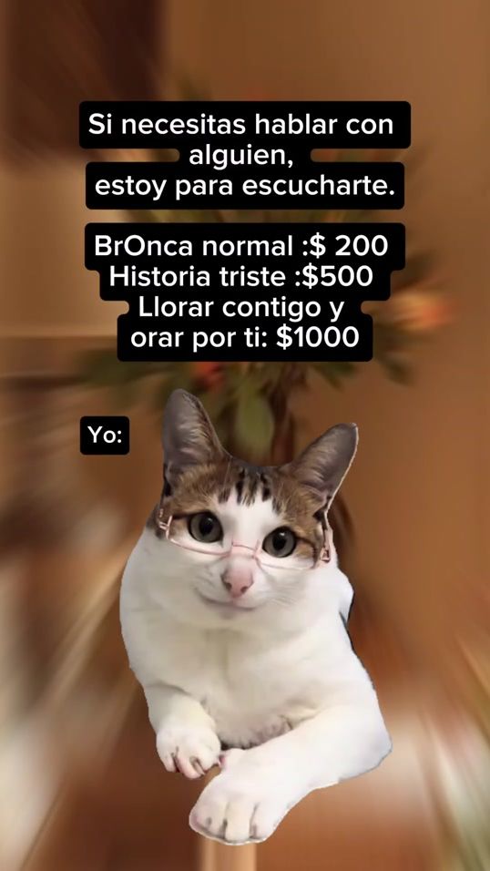 TikTok video thumbnail by tu.gato.curioso