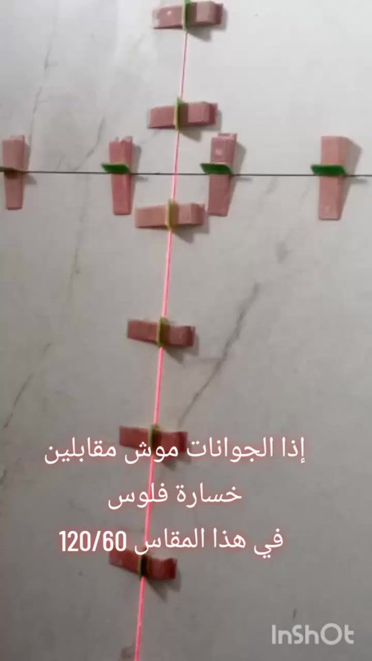 TikTok video thumbnail by giad_el_mawla