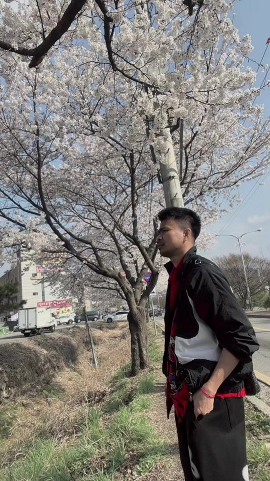 TikTok video thumbnail by userafxptrdo79