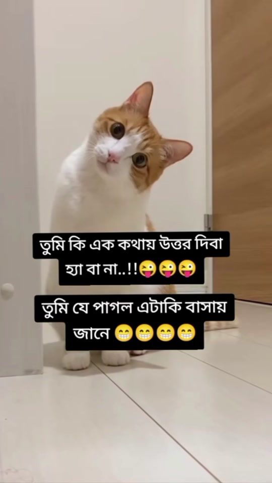 TikTok video thumbnail by user52834910031794
