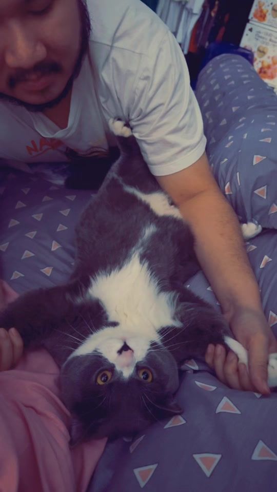 TikTok video thumbnail by wee7664
