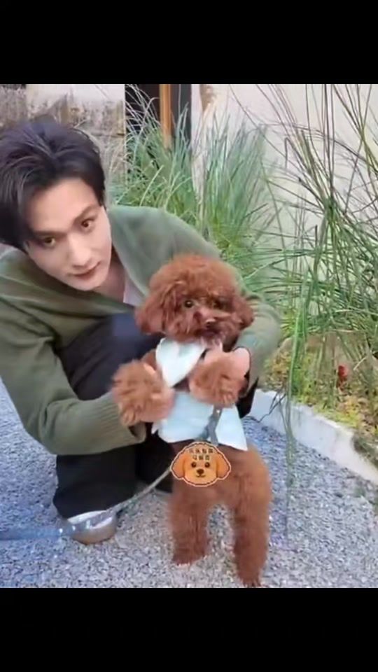 TikTok video thumbnail by imalittlefangirl