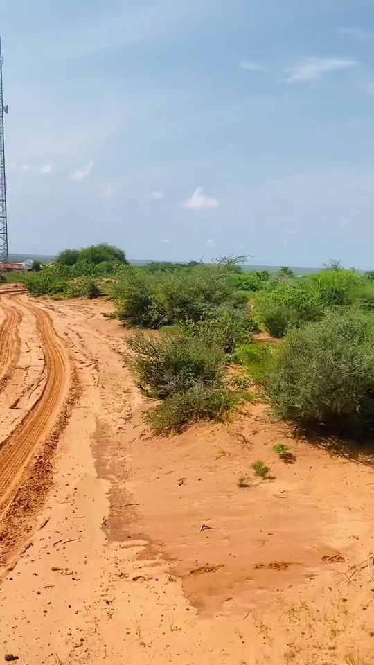 TikTok video thumbnail by wllsadiiq100