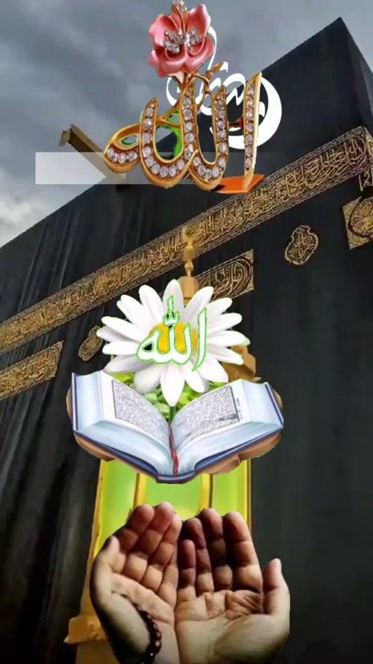 TikTok video thumbnail by lileakter02