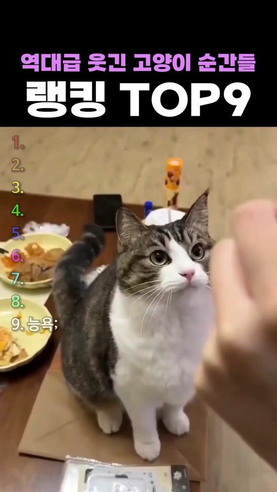TikTok video thumbnail by youtube_18_second