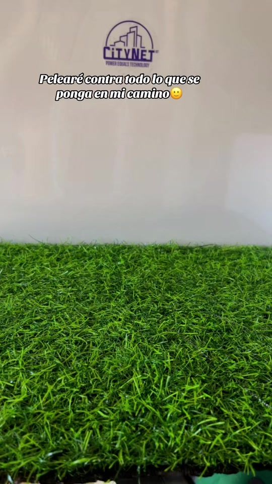 TikTok video thumbnail by citynetgt