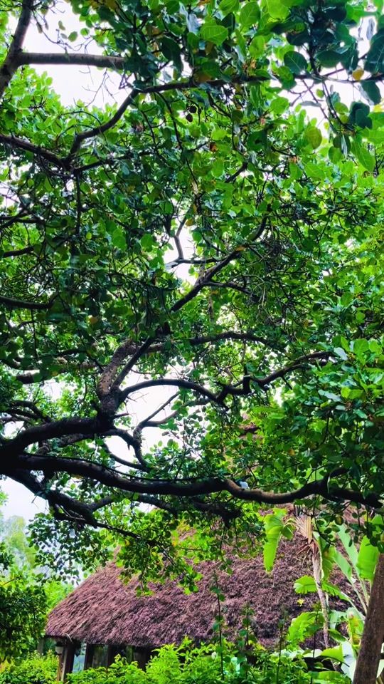 TikTok video thumbnail by singermelkamumichael0