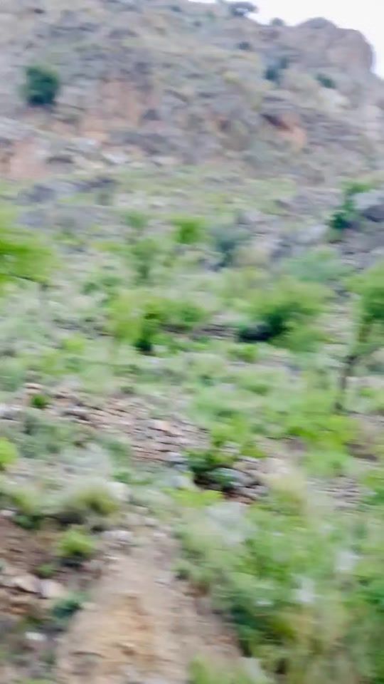 TikTok video thumbnail by sohail_oo9