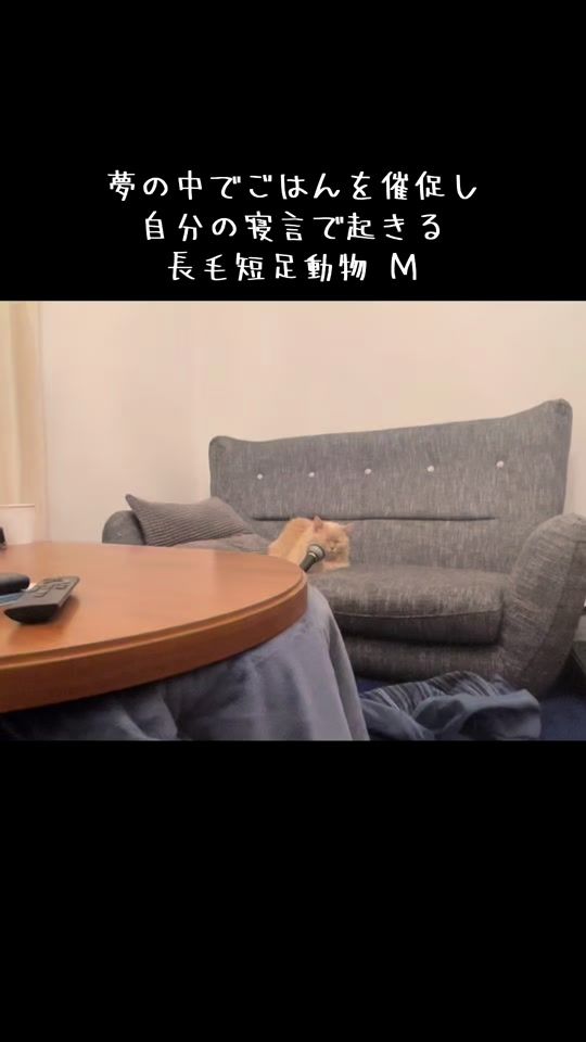 TikTok video thumbnail by jjbwb082