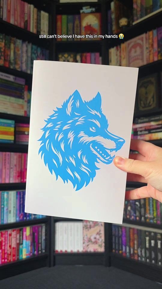 TikTok video thumbnail by melsbookspace
