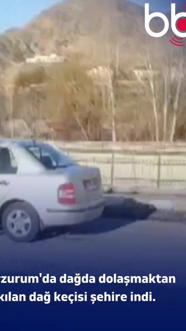 TikTok video thumbnail by bbd.haber