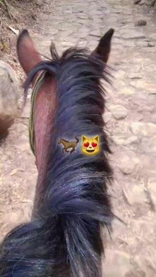 TikTok video thumbnail by deysi.vsquez4