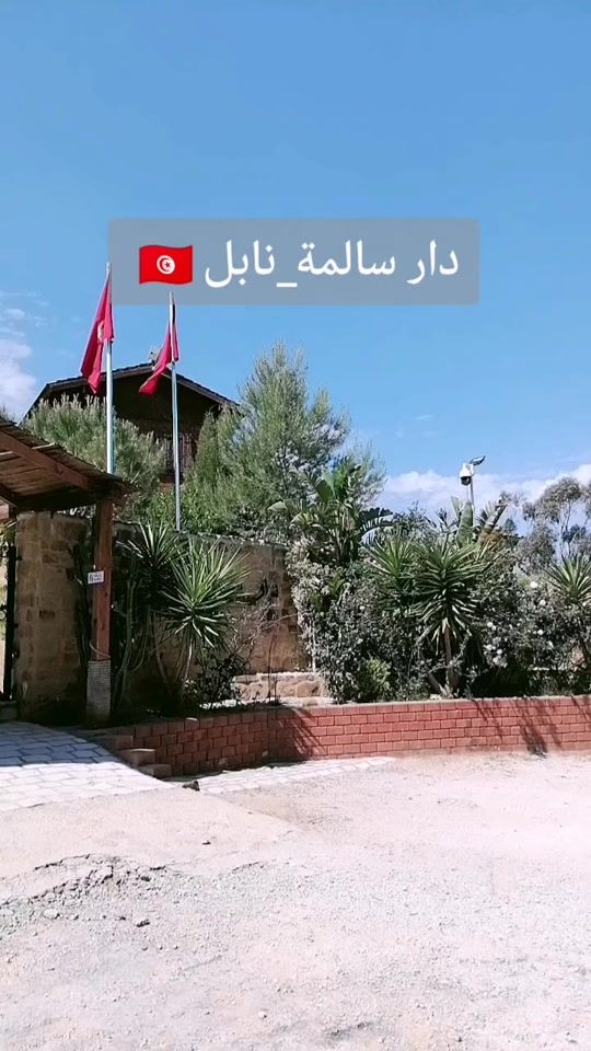 TikTok video thumbnail by sarah_bl13