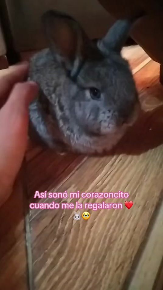 TikTok video thumbnail by richellicolina