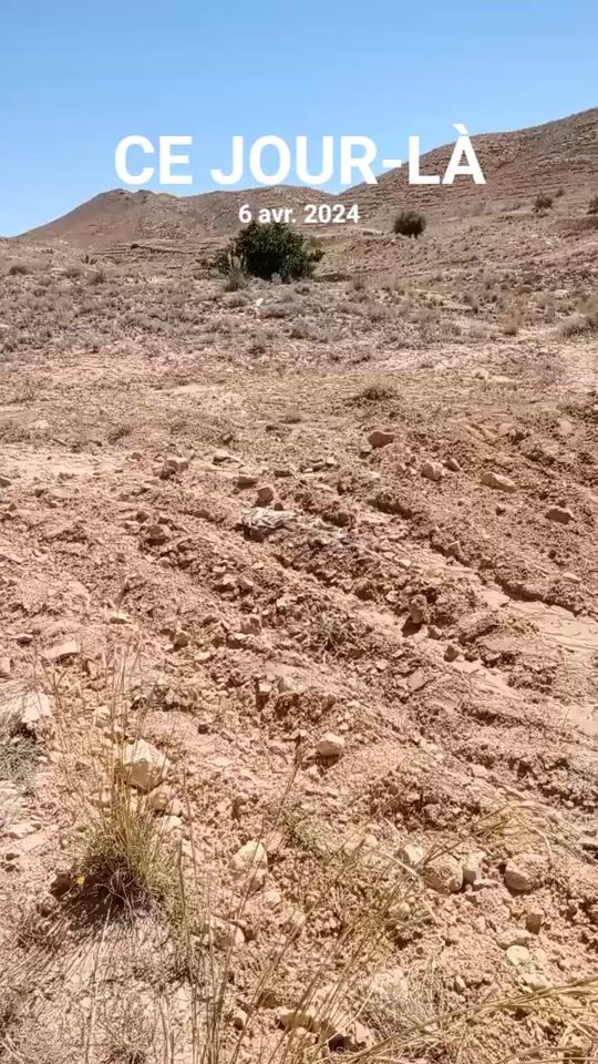 TikTok video thumbnail by alwani.al