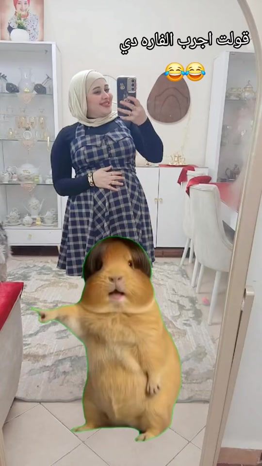 TikTok video thumbnail by nada_mustafa50