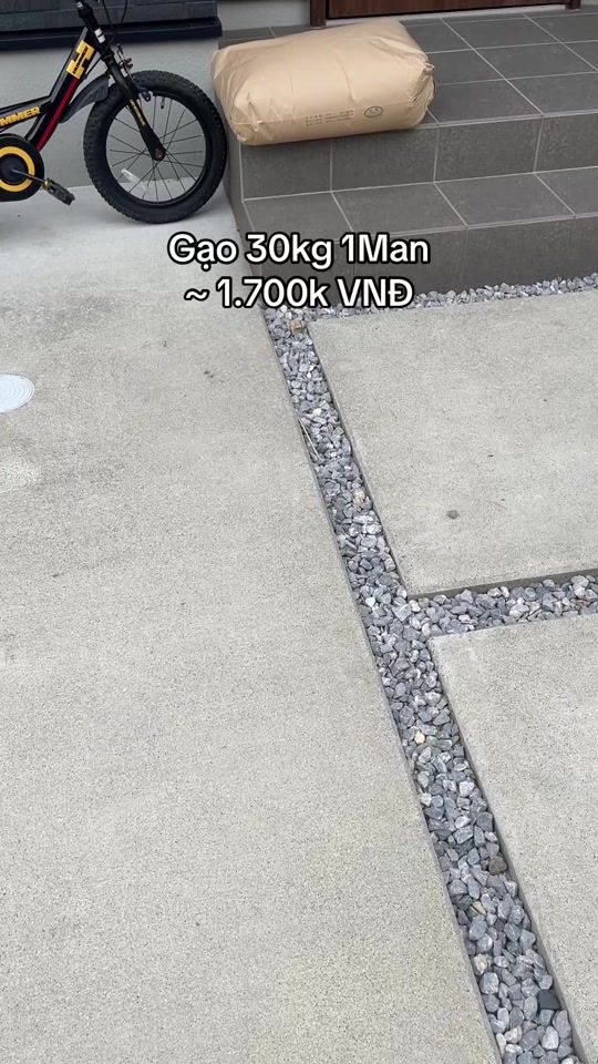 TikTok video thumbnail by thanhnga97_vlog