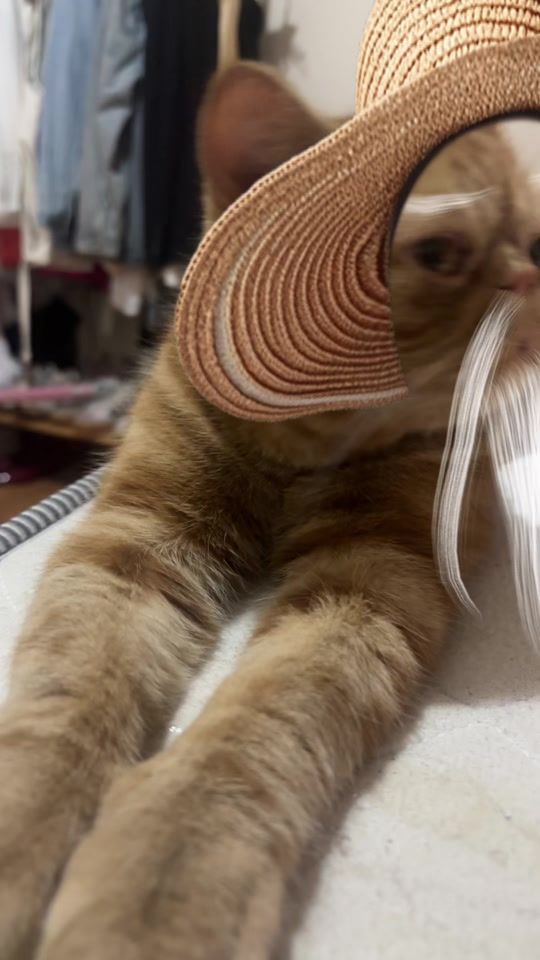 TikTok video thumbnail by so.nnz