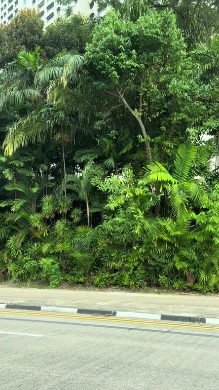 TikTok video thumbnail by _ma.oun_