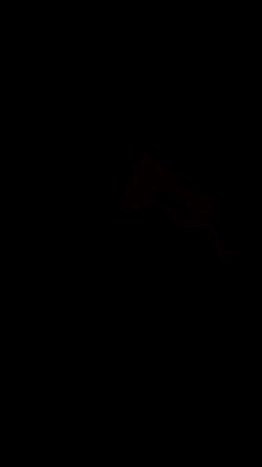 TikTok video thumbnail by plusnativearts